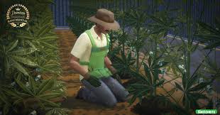You have two ways of installing basemental drugs on your computer. Basemental Drugs 7 13 175 Basemental Gangs 6 18 62 Rusifikator Ot 7 Sentyabrya 2021 Simstone