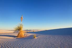 Where did the white sands in new mexico come from? New Mexico In Pictures 14 Beautiful Places To Photograph Planetware