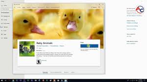 How To Change Your Windows 10 Themes Google Play Store You Changed Windows 10