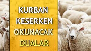 Kurban Duasi Nedir Diyanet In Kurban Keserken Okunacak Dua Bilgisi Kurban Kesilirken Edilecek Dua