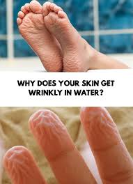 Why Does Your Skin Get Wrinkly In Water Diy Beauty Care Diy Natural Beauty Recipes Natural Beauty Diy