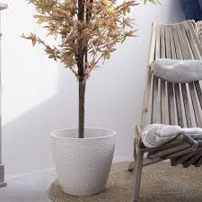 We did not find results for: Buy Outdoor Indoor Tree Planters 14 Inch Large Planter Flower Pots Containers Plant Pots White Honeycomb Online In Canada B081pqry6s