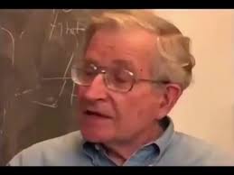 @zei_squirrel's video Tweet