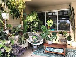 House plants encyclopedia listed by common names with pictures and care tips. 7 Best Indoor Plants Ideas To Produce Positive Energy At Home Thegardengranny