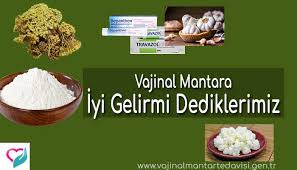 Vajinal Mantara Iyi Gelirmi Seklinde Merak Edilen Sorular Bitkisel Dogal Cozumler Arasinda Yer Alan Sarimsak Kefir Karbonat Civanpercemi Gida Mantar Kefir