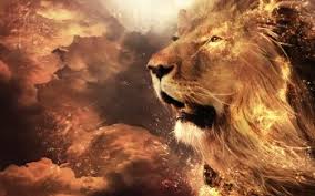 A desktop wallpaper is highly customizable, and you can give yours a personal touch by adding your images (including your photos from a camera) or download beautiful pictures from the internet. 1400 Lion Fonds D Ecran Hd Arriere Plans