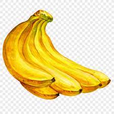 Sudahkah anda tahu mana saja lukisan termahal yang harganya mencapai harga lima rumah lukisan termahal di dunia. Pisang Gambar Unduh Gratis Imej 400239234 Format Png My Lovepik Com