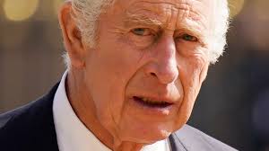 King Charles Continues His Over-The-Top Frustration Caused By This One Thing