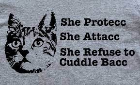 She Protecc She Attacc Funny Cat Meme Cat Lady T-Shirt | eBay