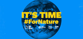 Globe with green oak leaf on a background of brown wooden boards. What S Happening On World Environment Day 5 June 2020 Citytalk