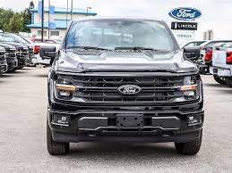 Image result for Dark Brown 2025 Fleet