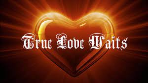 And true love waits in haunted attics and true love lives on lollipops and. True Love Waits Wallpapers Top Free True Love Waits Backgrounds Wallpaperaccess
