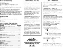 scoring sheet for the international standards for