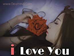 Good morning roses images for whatsapp; I Love You Roses Images Beautiful Pics Of Love Rose With Quotes Download Dear Hindi Meaning In Hindi