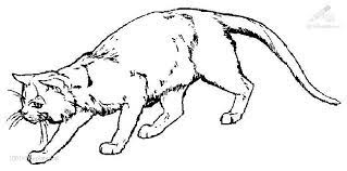 Find high quality black cat coloring page, all coloring page images can be downloaded for free for personal use only. 1001 Coloringpages Animals Cat Cat Coloring Page