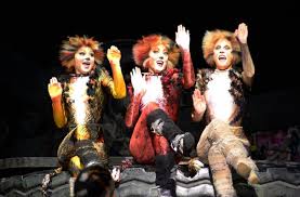 The recording won best cast show album at the 26th annual grammy awards. Cats Broadway Cast 2016 Cats Is Coming Back To Broadway Vulture Jessica Hendy Christopher Gurr Cory John Snide And Hailei Call From The Cast And Crew Of The 2016