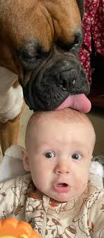 Meet Diesel. Most protective and loving xx