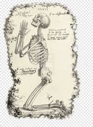 With praying skeleton hands holding rosary rose flowers snake entwined with skull and woman face with dead makeup. Praying Hands The Anatomy Of The Human Body Human Skeleton Prayer Skeleton Text Hand Png Pngegg
