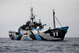 Arthur porth robert clarkson · vivien kellems irwin schiff · william j. 160120 Em Odn Steve Irwin Sea Shepherd Global
