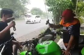 Menurut perkiraan, ada sekitar 24 miliar ayam di seluruh dunia. Ngilu Ninja 250 Ini Salah Apa Tangki Mulus Digetokin Palu Kayak Ayam Geprek Gridoto Com