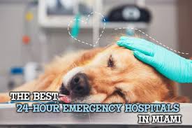 Explore other popular pets near you from over 7 million businesses with over 142 million reviews and opinions from yelpers. The Best 24 Hour Pet Emergency Hospitals In Miami