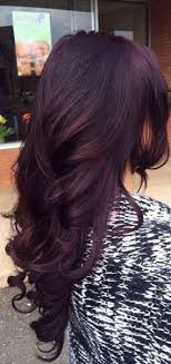 No matter whether your hairs are bleached or are simply black, the hair color sticks. Dark Hair With Purple Tint Hair Styles Hair Color Plum Violet Hair Colors