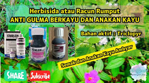 Racun rumput hadir dengan berbagai bentuk produk di antaranya, cair dan bubuk yang dijual mulai harga rp12 ribu. Herbisida Atau Racun Rumput Anti Gulma Berkayu Atau Anak Kayu Youtube