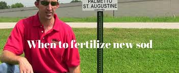 The soils in east texas have a tendency to be acidic and may need liming to adjust the ph. When To Fertilize New Sod Houston Pearland Sugar Land Katy
