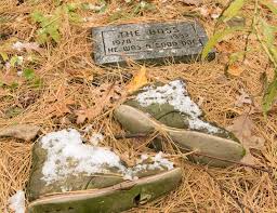 Pet cemeteries give people a place to lay their beloved animals to rest. Mich Pet Cemetery Closes Leaving 74k Remains Animal Owners In Limbo
