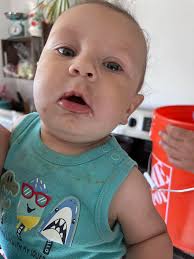 So I'm new to the journey and my son absolutely loves food. Can anyone  suggest anything for him, just can't have egg as we've had a reaction. So  waiting