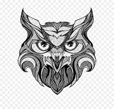 Sketsa gambar burung hantu merak garuda elang gambarcoloring. Burung Hantu Gambar Seni Gambar Png