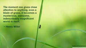 The Moment One Gives Close Attention To Anything Even A Blade Of Grass It Becomes A Mysterious Awesome Henry Miller Quotes Henry Miller Inspirational Quotes