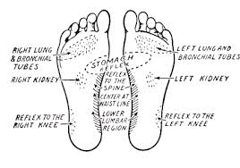 Massage Away Pain With Best Reflexology Charts Reflexology