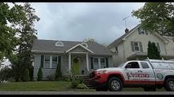 Please read our citizen's guide to pest control & safety for more tips on how. Viking Pest Control Youtube