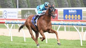 Find everything you need to know about horse racing at equibase.com. Horse Racing Picks For Wednesday April 22 Best Value Bets For Tampa Bay Downs The Action Network