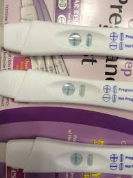 A false positive pregnancy test is one of the worst things for a woman trying to coneive. Well Guess What Pregnancy Or Perimenopause Curious And Cozy
