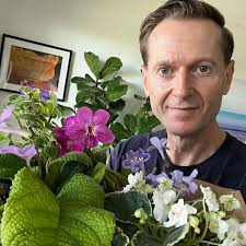 Orchard's Bumble Magnet getting ready for the holidays! . . .  #africanviolet #gesneriaceae #gesneriads #saintpaulia #streptocarpus #mkavs  #primulina #episcias #aeschynanthus #nematanthus