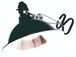 We did not find results for: Flc32df Agrosun Dayspot Grow Light Kit 32 Watt Cfl Indoor Gardening Supplies