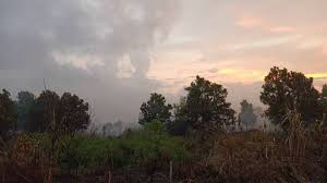 Memastikan pembangunan lestari di dalam proses memajukan negara. Bacaan Ipu Tidak Sihat Di Miri Utusan Borneo Online