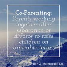 Everything you don't want to happen will happen, and you might find yourself begging for privacy and alone time. Naked Truth Secrets To A Successful Co Parenting Daily Active