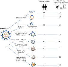 We did not find results for: Shelter From The Cytokine Storm Pitfalls And Prospects In The Development Of Sars Cov 2 Vaccines For An Elderly Population Springerlink
