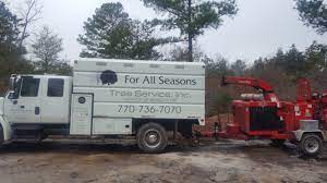 Licensed & insured tree service & tree removal company in knoxville and maryville that is trained in all aspects of tree removal, tree trimming, tree pruning, tree offering tree removal, tree trimming, tree pruning and plant health care services in knoxville, maryville, lenoir city, loudon, oak ridge. For All Seasons Tree Service