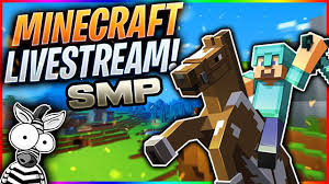 We have a survival server with mods and plugins 1.12.2 forge. Minecraft Live With Subscribers Smp Server 24 7 Ip For Both Java And Mcpe Join Now Vps And Vpn