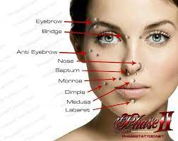 Ornamental Dress Piercing Chart 2 Face Piercings Piercing Chart Facial Piercings