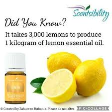 @ muhd ariff abdullah wslm minyak hitam 10w30,20w50 adalah kelikatan minyak enjin ketika sejuk dan panas dan w adalah weighs,jadi kalau 10 pada enjin sejuk dan 30 pada enjin panas.kalau ada 10w30 untuk 4 liter boleh guna tapi kalau 3 liter jangan guna tak sesuai untuk toyota vios cuma likatnya. Lemoneo Instagram Posts Photos And Videos Picuki Com