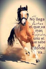 Sabiduria Frases Vaqueras De Amor Frases Frases De Caballos