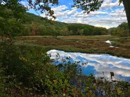 Waterloo Village Tours