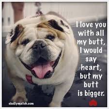 100% of any proceeds raised through our. Who Loves You Baby We Do Posted On Chicago English Bulldog Rescue Inc Bulldog Funny Bulldog Puppies Bulldog