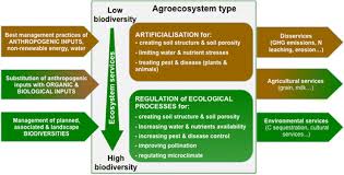 Many countries deal with this ecosystem destroyer hygienic control can be used by not leaving things around that would attract such pests into a workplace or home. How To Implement Biodiversity Based Agriculture To Enhance Ecosystem Services A Review Springerlink