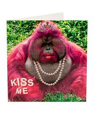 Valentine's day cards, wishes and ecards are the perfect way to express your love, the most beautiful feeling in the world. Non Soppy Valentine S Day Cards Funny Valentine S Day Cards That Don T Make You Want To Throw Up